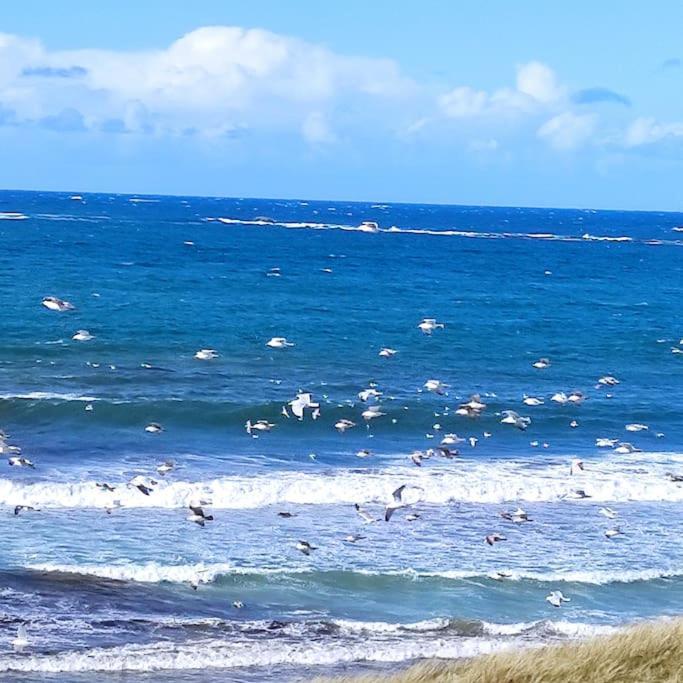 Gite Kerbourc'H Charmant Et Confortable, Mer Et Plages A 3Km, Ploudalmézeau 외부 사진